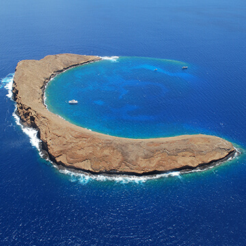 モロキニ島でシュノーケリング | マウイバケーション | アクア
